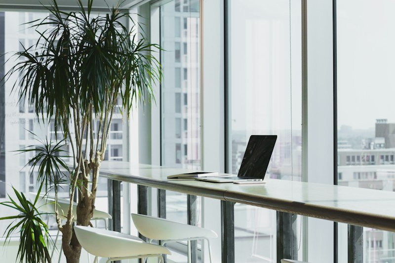 Work Visa Assistance